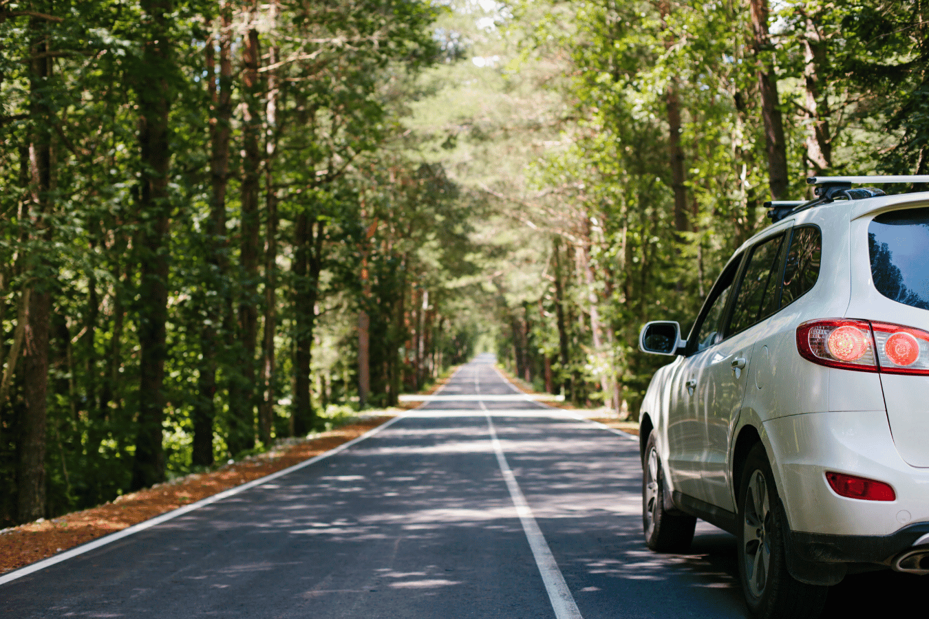 white-suv-driving-on-tree-lined-roadway