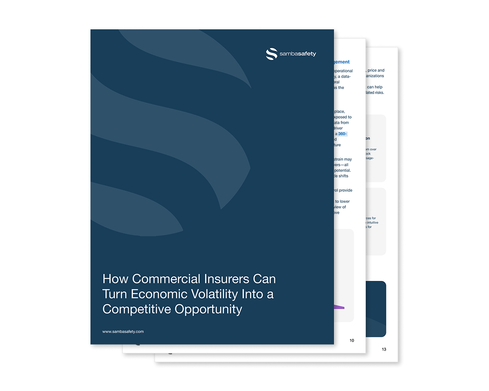 economic-volatility-multipage-thumbnail